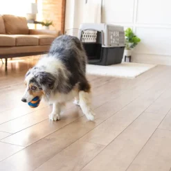 Chuckit! Ultra Ball