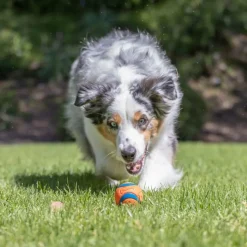 Chuckit! Ultra Ball S