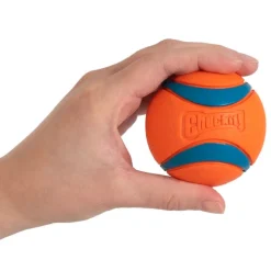 Chuckit! Ultra Ball S
