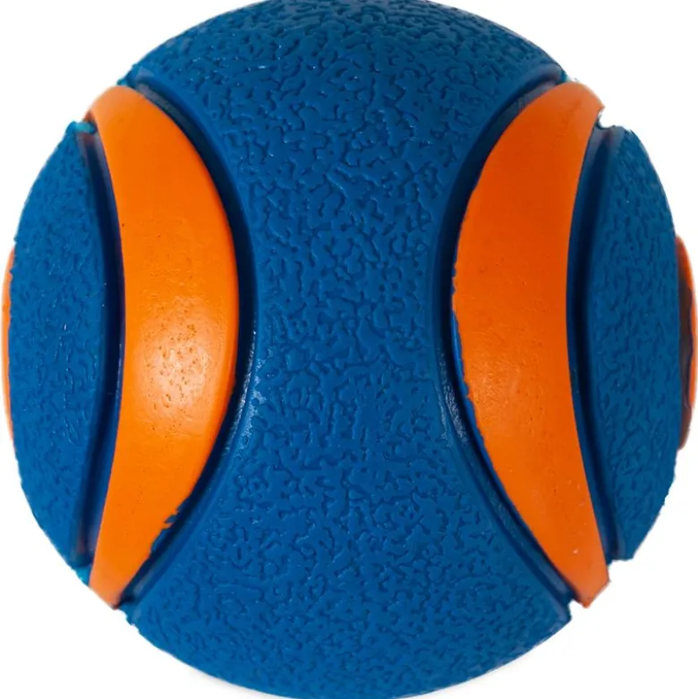 Chuckit! Ultra Squeaker Ball