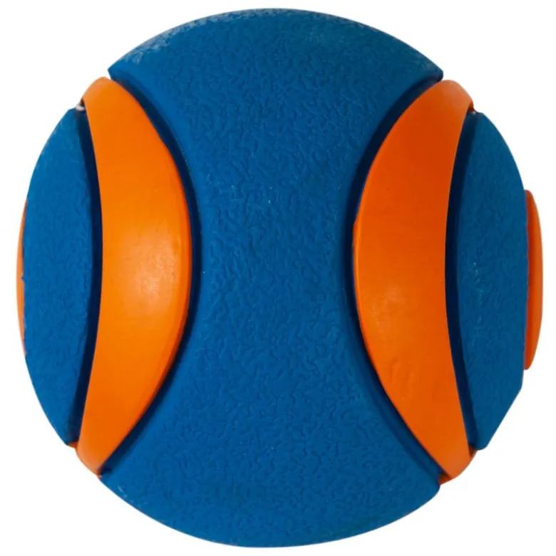 Chuckit! Ultra Squeaker Ball