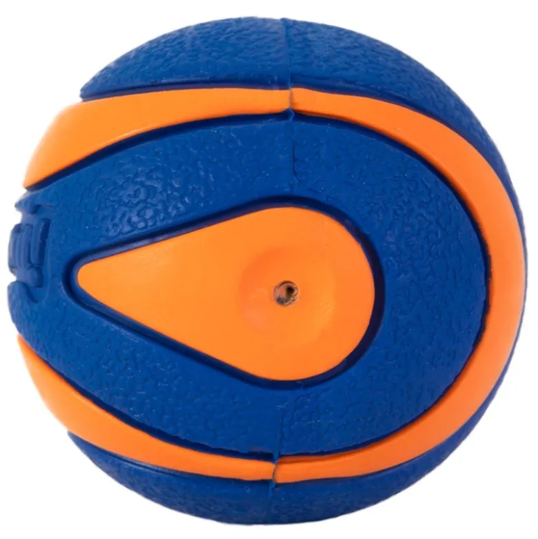 Chuckit! Ultra Squeaker Ball