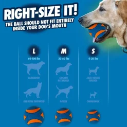 Chuckit! Ultra Squeaker Ball