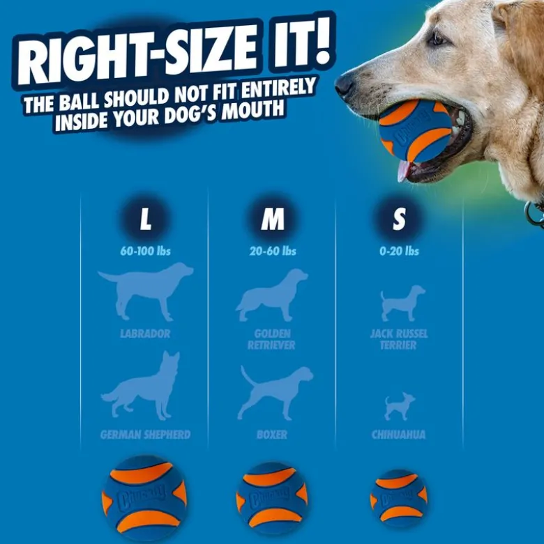 Chuckit! Ultra Squeaker Ball