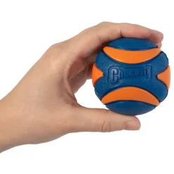 Chuckit! Ultra Squeaker Ball