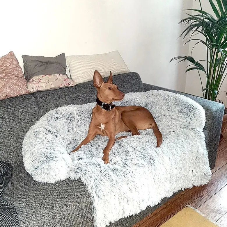 Cloud Waterproof Sofa