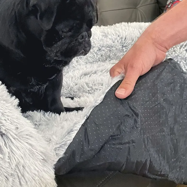 Cloud Waterproof Sofa
