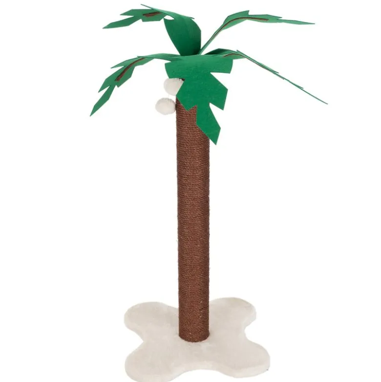 Coco Palm Kradsestamme