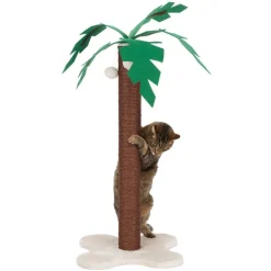 Coco Palm Kradsestamme