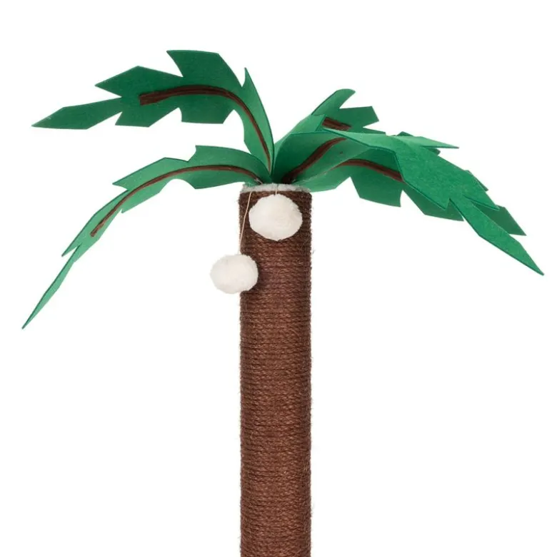 Coco Palm Kradsestamme