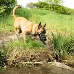 COLORI® Schæferhund mundkurv L, sort