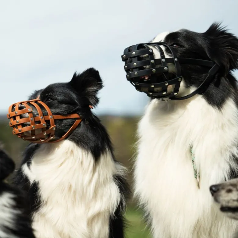COLORI® Schæferhund mundkurv L, sort