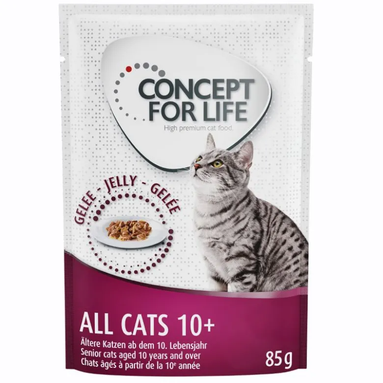 Concept for Life All Cats 10+ - i gelé