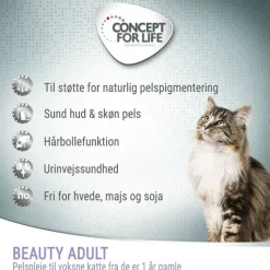 Concept for Life Beauty Adult - Forbedret opskrift!