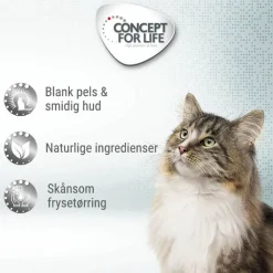 Concept for Life Beauty Cubes