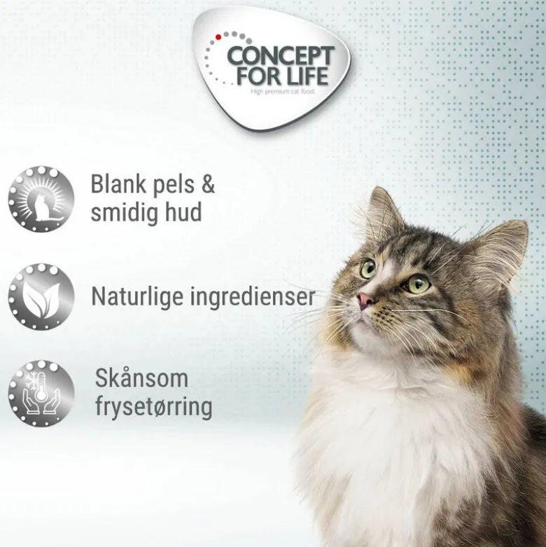 Concept for Life Beauty Cubes