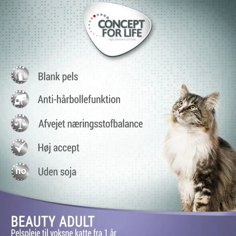 Concept for Life Beauty - i sauce
