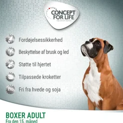 Concept for Life Boxer Adult