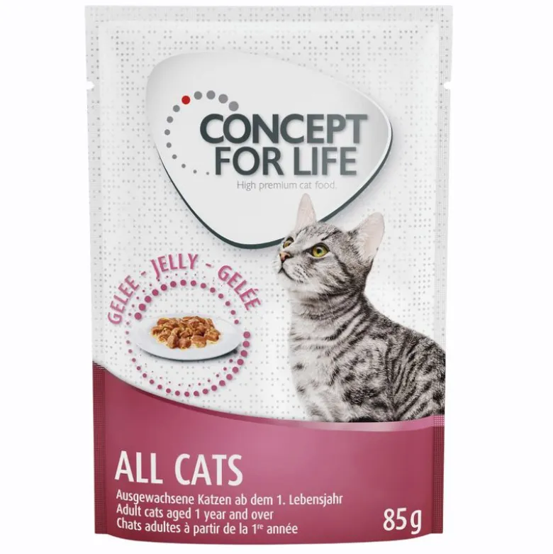 Concept for Life Indoor Cats - Forbedret opskrift!