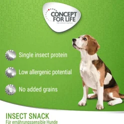 Concept for Life Insekter & Gulerod