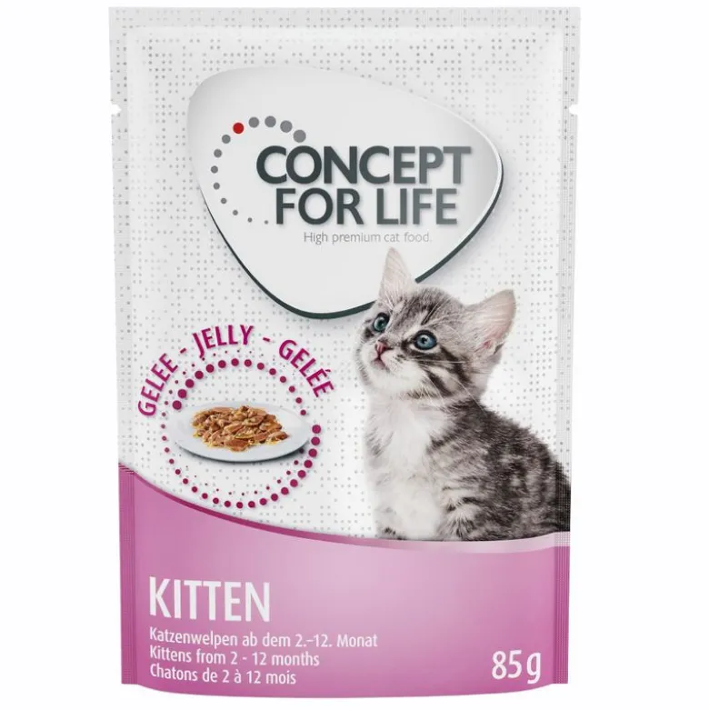 Concept for Life Kitten - i gelé