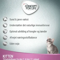 Concept for Life Kitten - i sauce