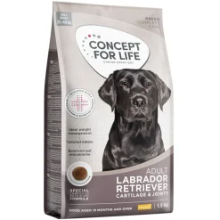 Concept for Life Labrador Retriever Adult