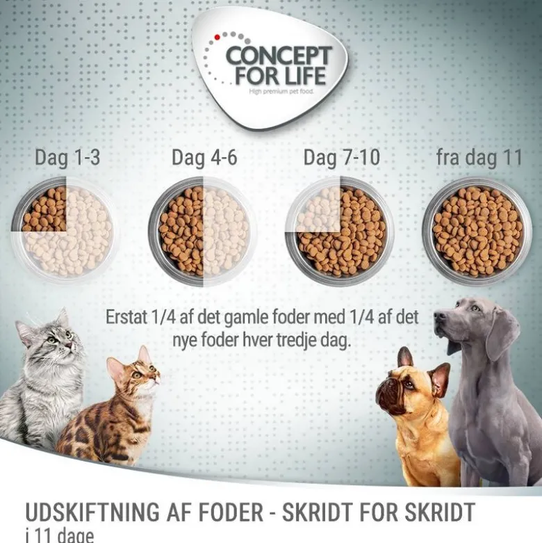 Concept for Life Labrador Sterilised
