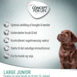 Concept for Life Large Junior