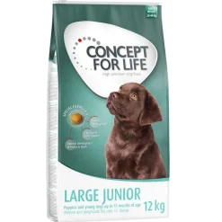 Concept for Life Large Junior