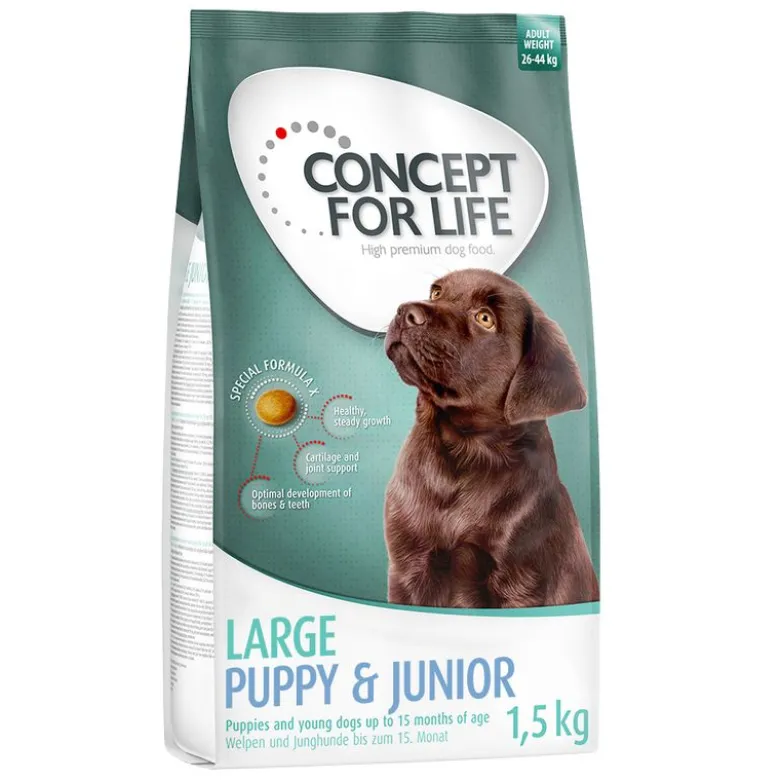 Concept for Life Large Junior