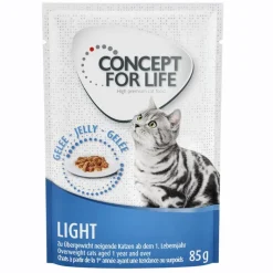 Concept for Life Light - FORBEDRET OPSKRIFT!