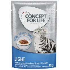Concept for Life Light - FORBEDRET OPSKRIFT!