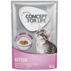 Concept for Life Maine Coon Kitten - Forbedret opskrift!