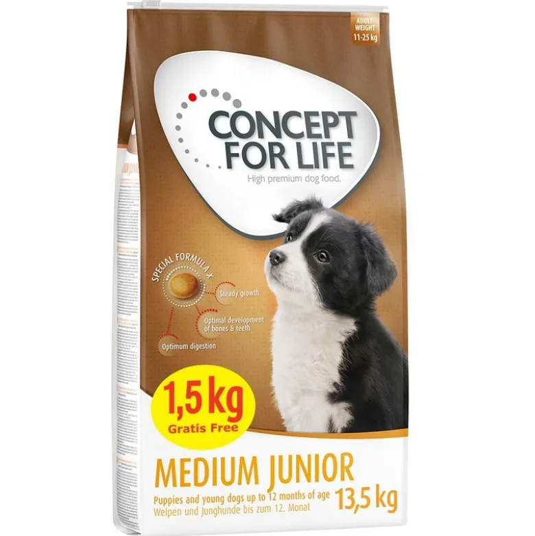 Concept for Life Medium Junior