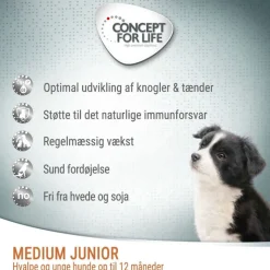 Concept for Life Medium Junior