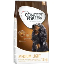 Concept for Life Medium Light