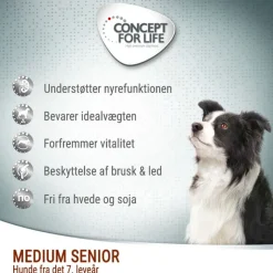Concept for Life Medium Senior