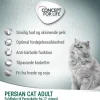 Concept for Life Persian Adult