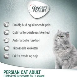 Concept for Life Persian Adult