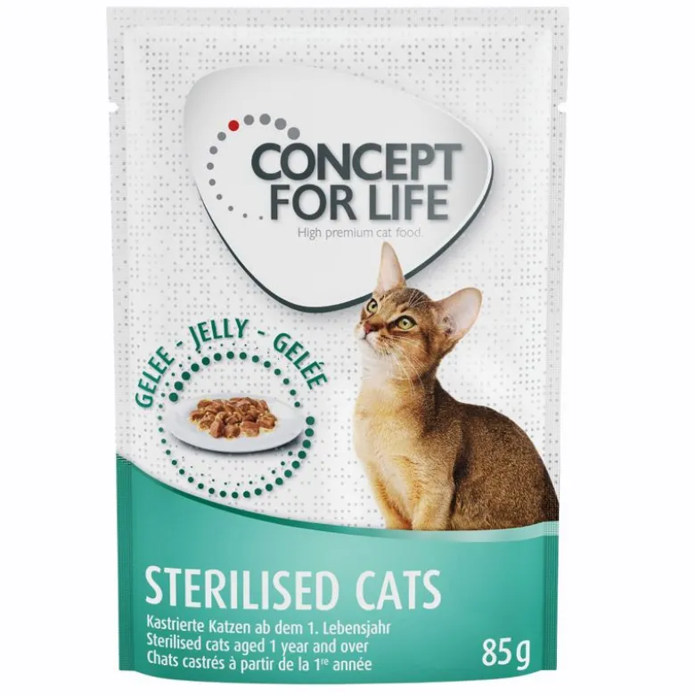 Concept for Life Sterilised Cats Kylling
