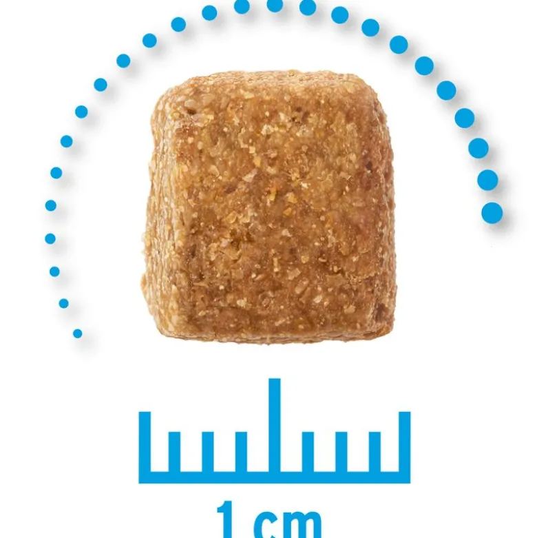 Concept for Life Veterinary Diet Weight Control