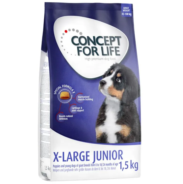 Concept for Life X-Large Junior