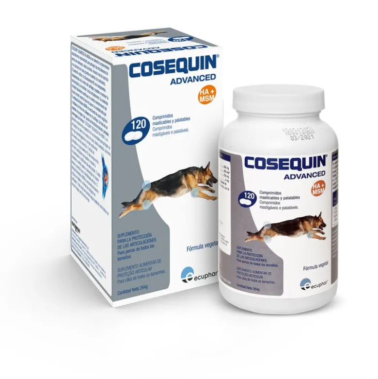 Cosequin Advance Hund
