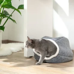 Cosma kattehule