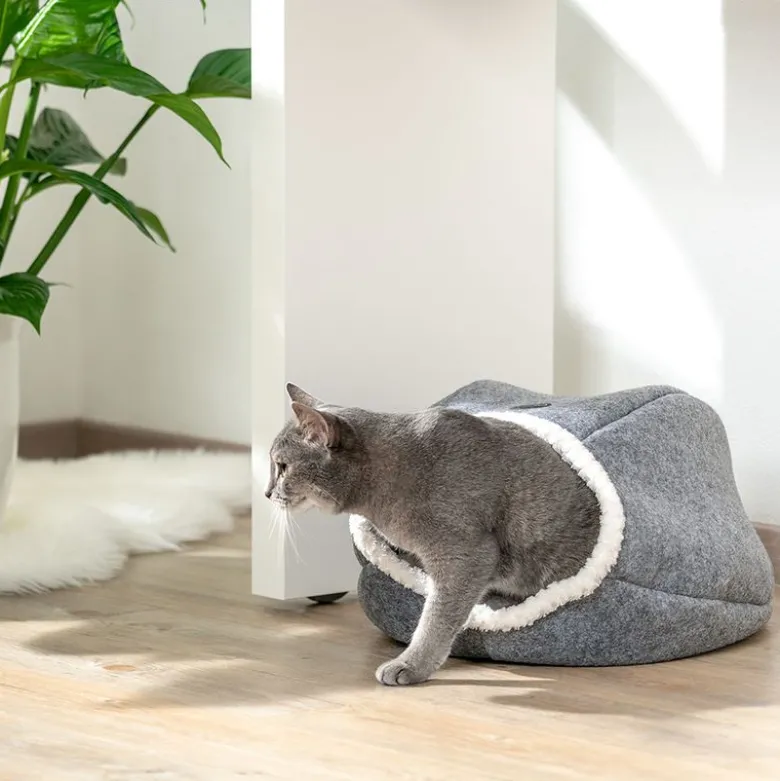 Cosma kattehule