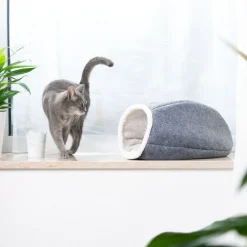 Cosma kattehule