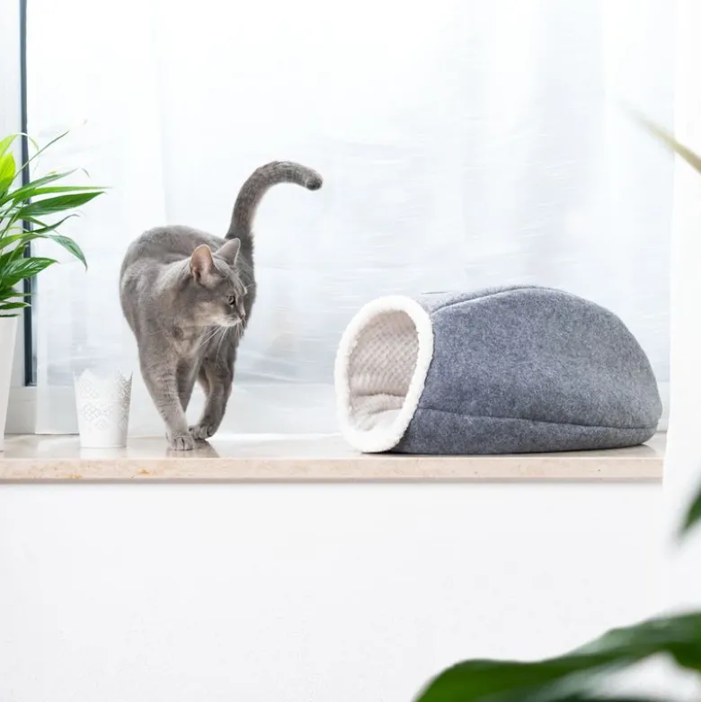 Cosma kattehule