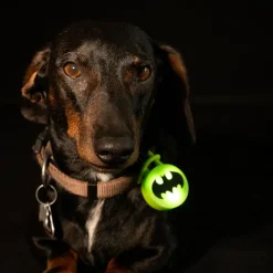 DC Batman halsbåndslys