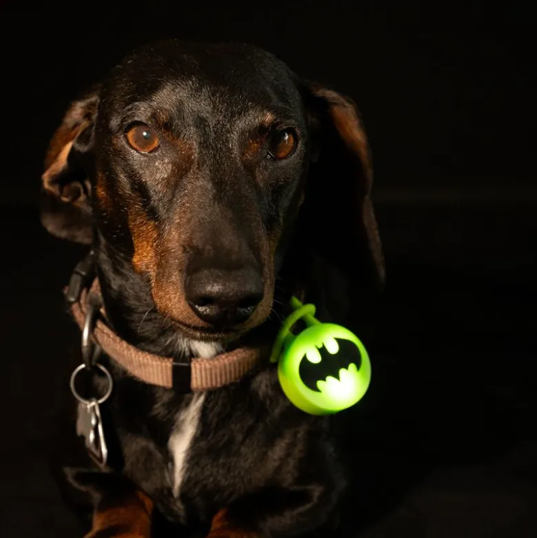 DC Batman halsbåndslys